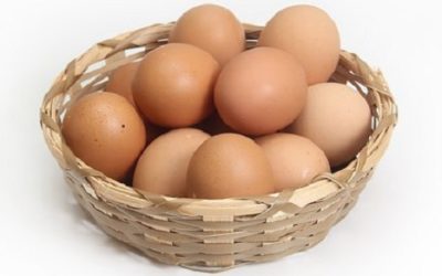18 ciekawostek o jajkach