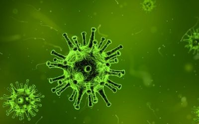 16 ciekawostek o wirusie bostońskim