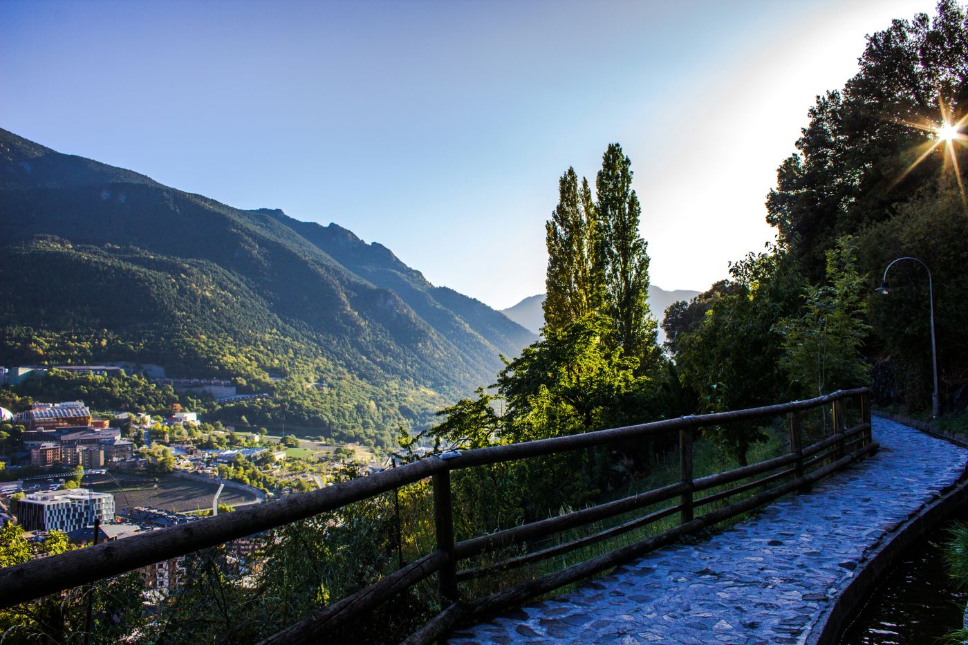 andora2 Andora