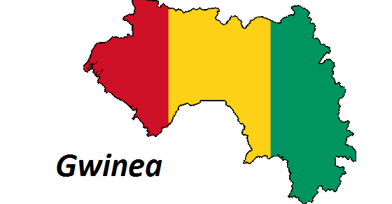 Gwinea grafika