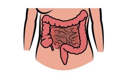 18 ciekawostek o jelitach