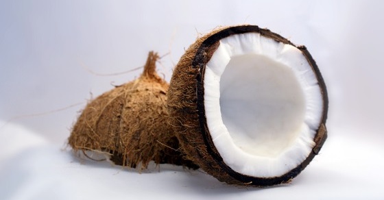 Kokos ciekawostki