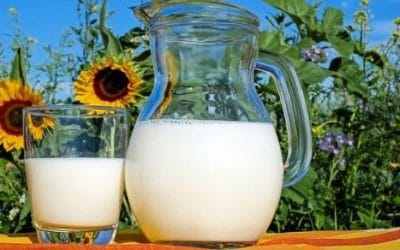 14 ciekawostek o mleku