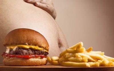 15 ciekawostek o otyłości