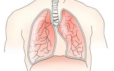 23 ciekawostki o płucach