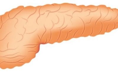 14 ciekawostek o trzustce