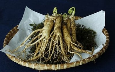 15 ciekawostek o żeń-szeniu