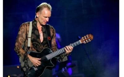 Sting ciekawostki