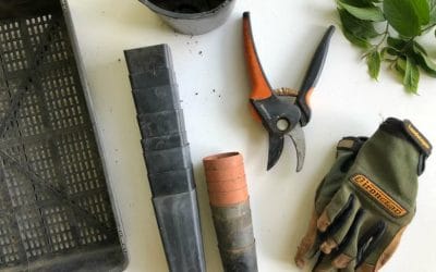 Jakie są najlepsze oleje do kosiarki?