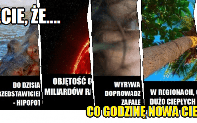 Czy wiecie, że…?