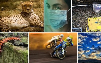 Paczki wiedzy – październik 2020