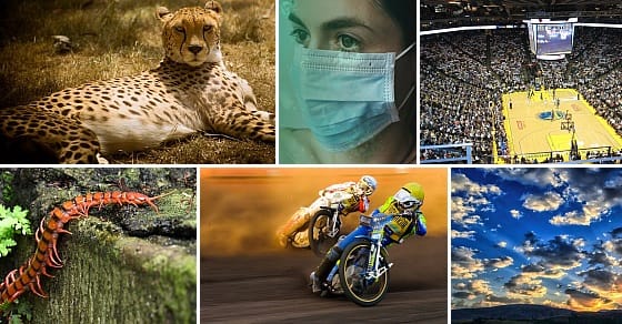 październik 2020 paczki wiedzy