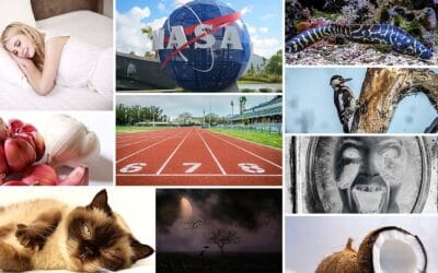 Paczki wiedzy – listopad 2020