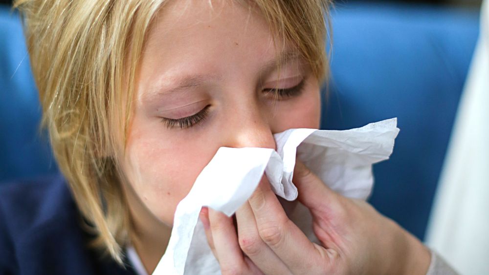 Alergia wziewna: objawy i zwalczanie domowymi sposobami