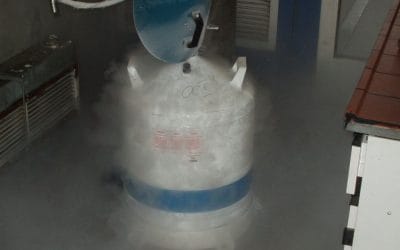 Ciekły azot – właściwości, przechowywanie i wykorzystywanie. Sprawdź, co musisz wiedzieć!