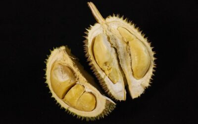 Durian ciekawostki