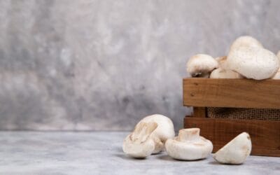 Nowoczesne pieczarkarnie a ich wyposażenie!