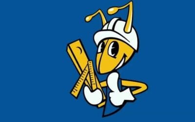 6 ciekawostek o sklepie Mrówka