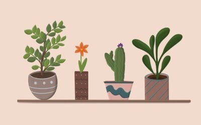 Nowoczesne nawozy mineralne w technologii 2.0