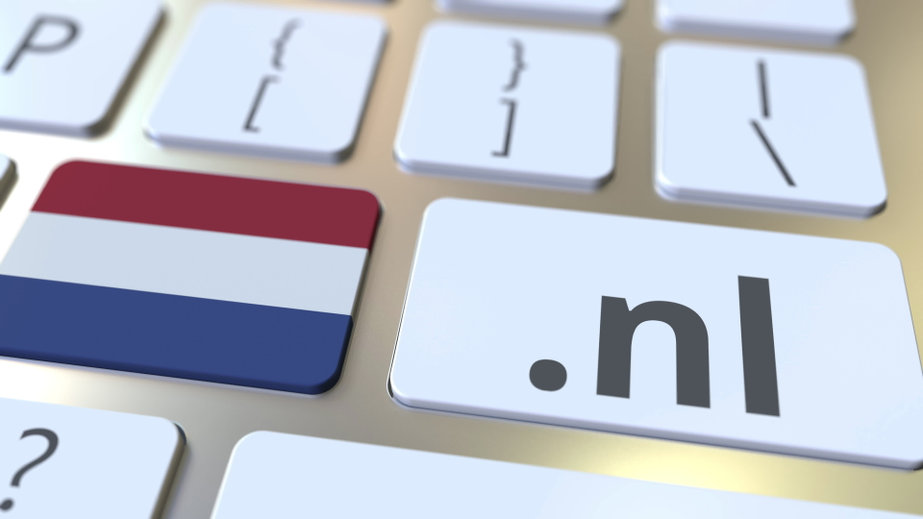 Czy uruchomienie własnego sklepu internetowego w Holandii ma sens ?
