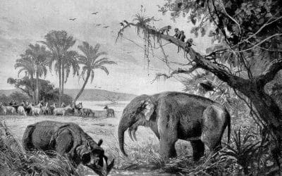 6 ciekawostek o erze kenozoicznej