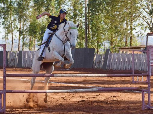 9 ciekawostek o jeździectwie