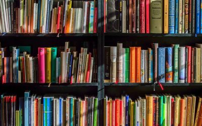 Bibliotekoznawstwo – dlaczego warto wybrać ten kierunek na studia podyplomowe?
