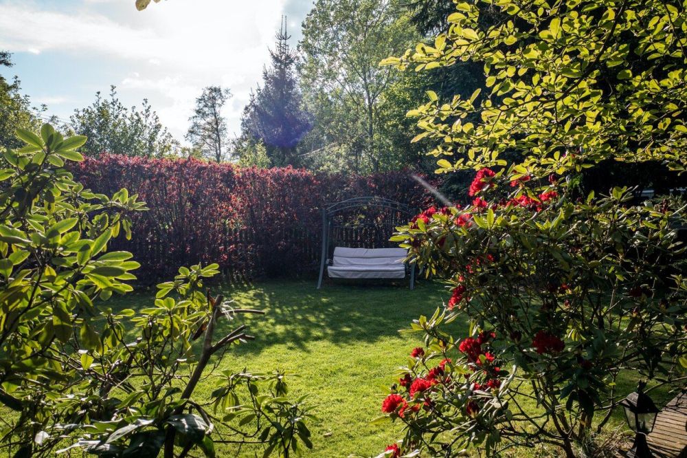 pielęgnacja trawnika