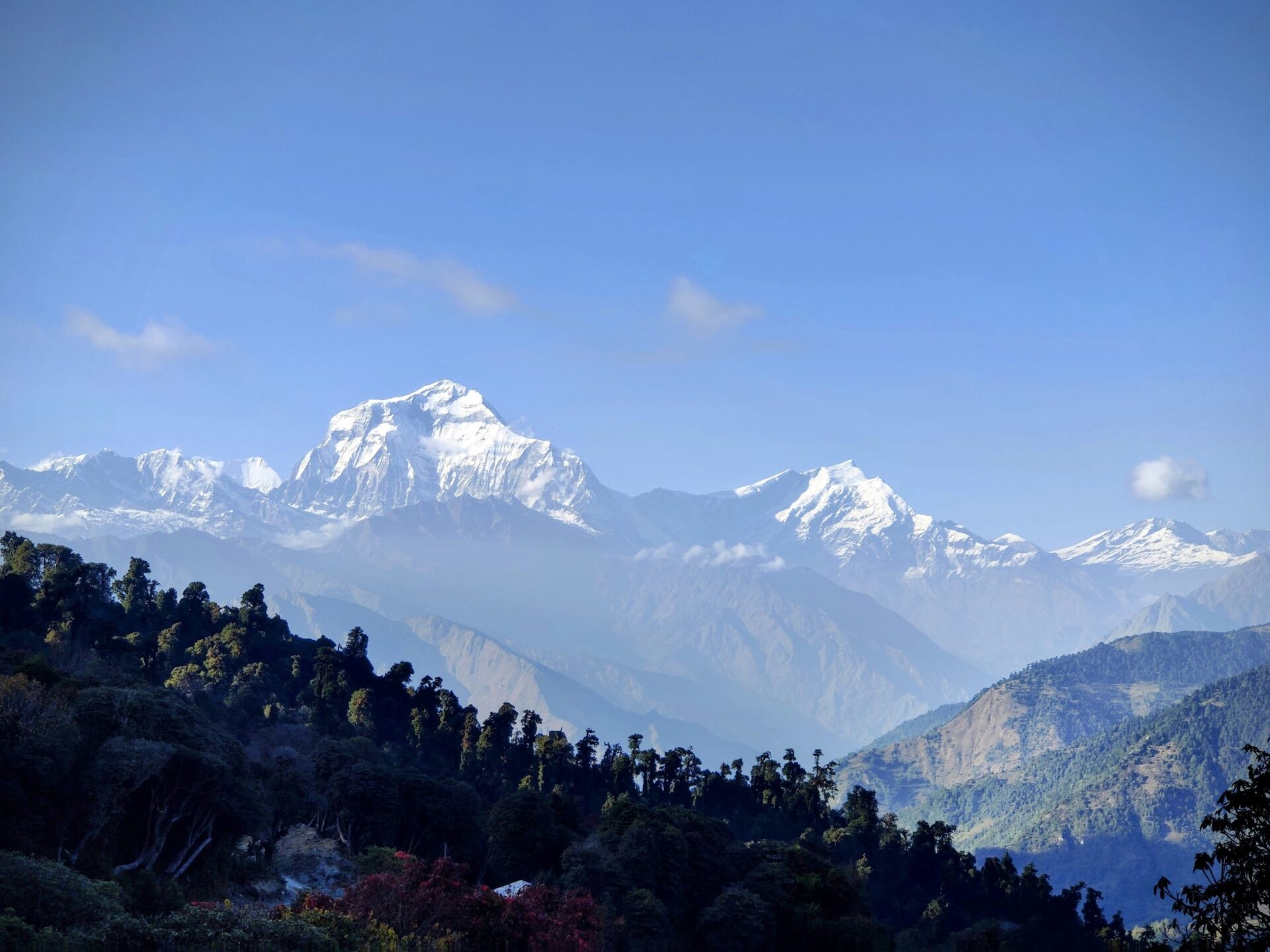 Dhaulagiri