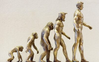 18 ciekawostek o ewolucji