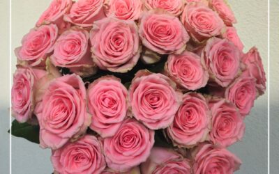 Zaskakujące ciekawostki o kwiatach: biologia, symbolika i niezwykłe właściwości