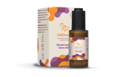 Suplementy dla zwierząt – rola witamin w diecie kota