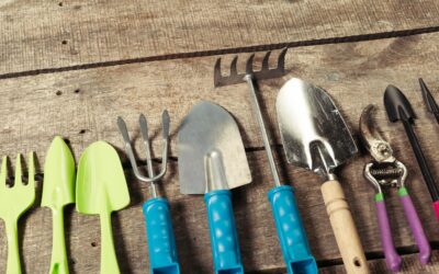 Co warto dokupić w sklepie rolniczym, zanim nadejdą przymrozki