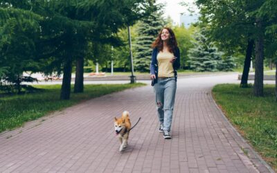 Najczęstsze zatrucia u psów na spacerach: Na co uważać w parkach