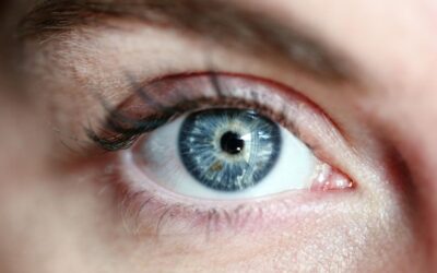 26 ciekawostek o tęczówce