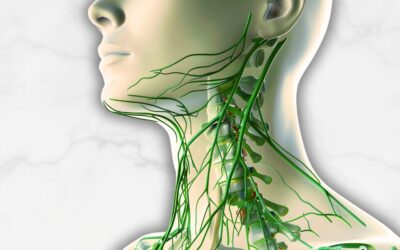 18 ciekawostek o limfie