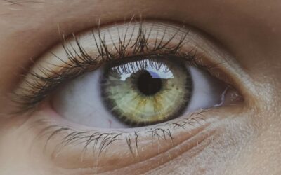 23 ciekawostki o rzęsach