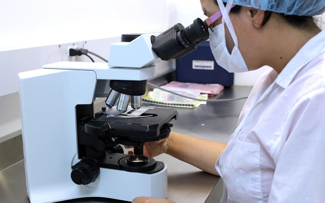 20 ciekawostek o chromosomach