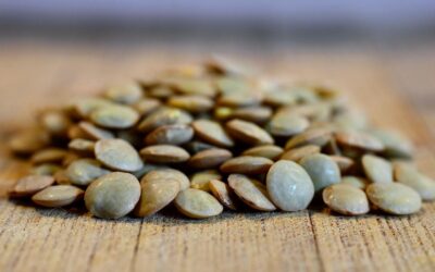 20 ciekawostek o soczewicy