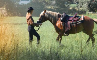 Kamizelki na konie – niezbędna ochrona