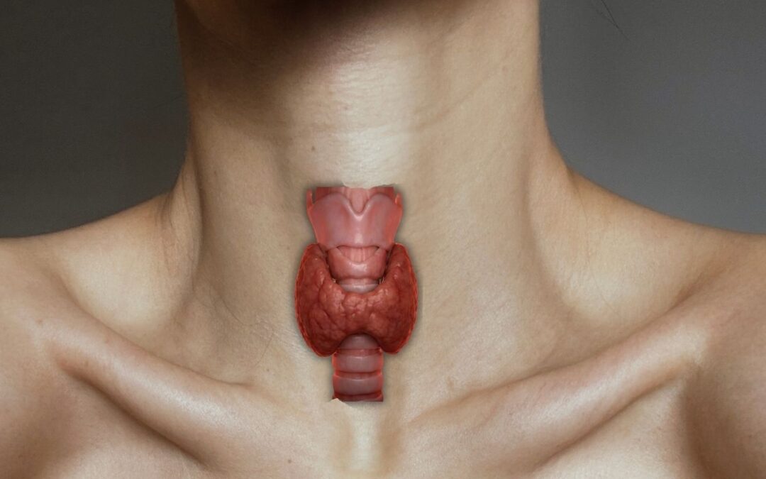 18 ciekawostek o tarczycy