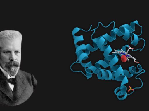 16 ciekawostek o enzymach