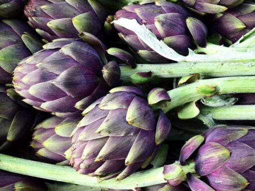 14 ciekawostek o karczochach