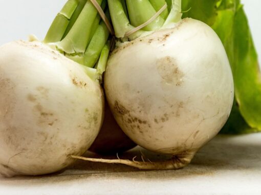 14 ciekawostek o rzepie