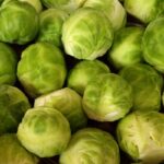 brukselka