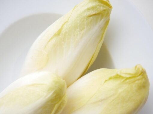 14 ciekawostek o cykorii