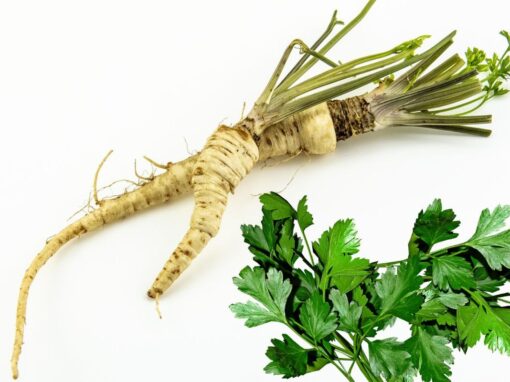 14 ciekawostek o pietruszce 