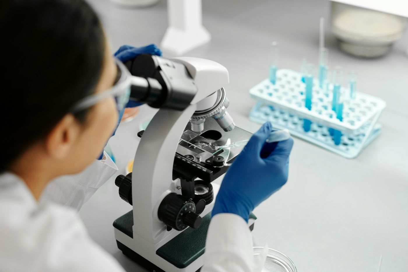 mikrobiologia