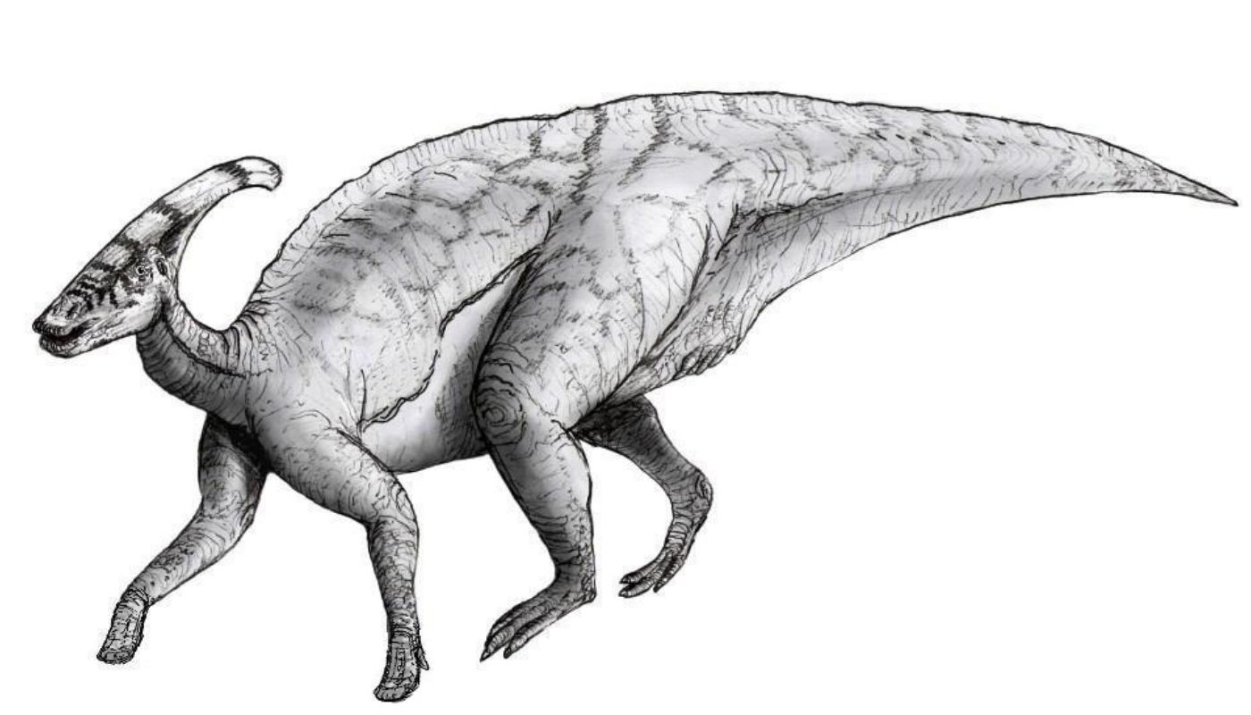 parazaurolof parazaurolof